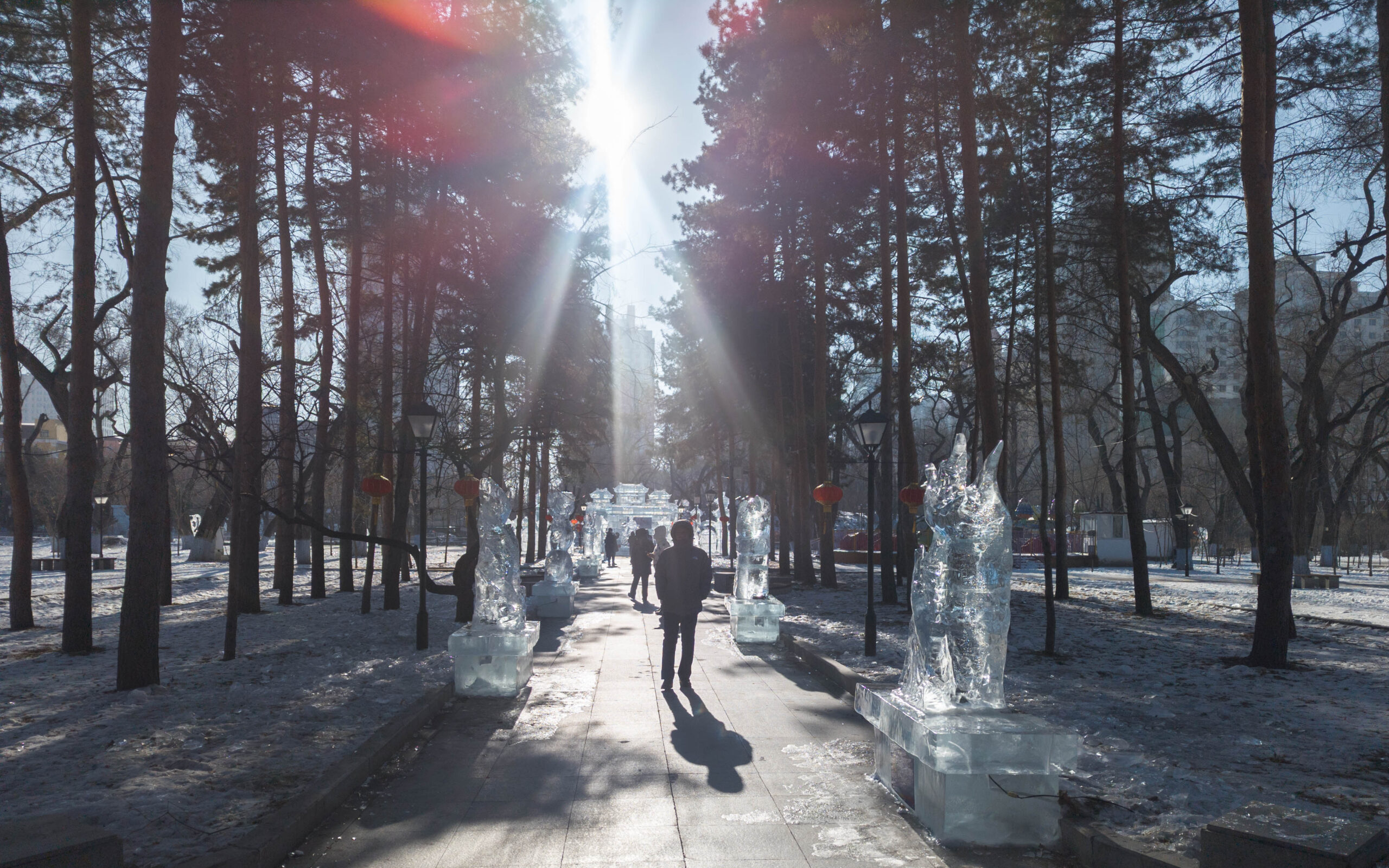 Park in Harbin