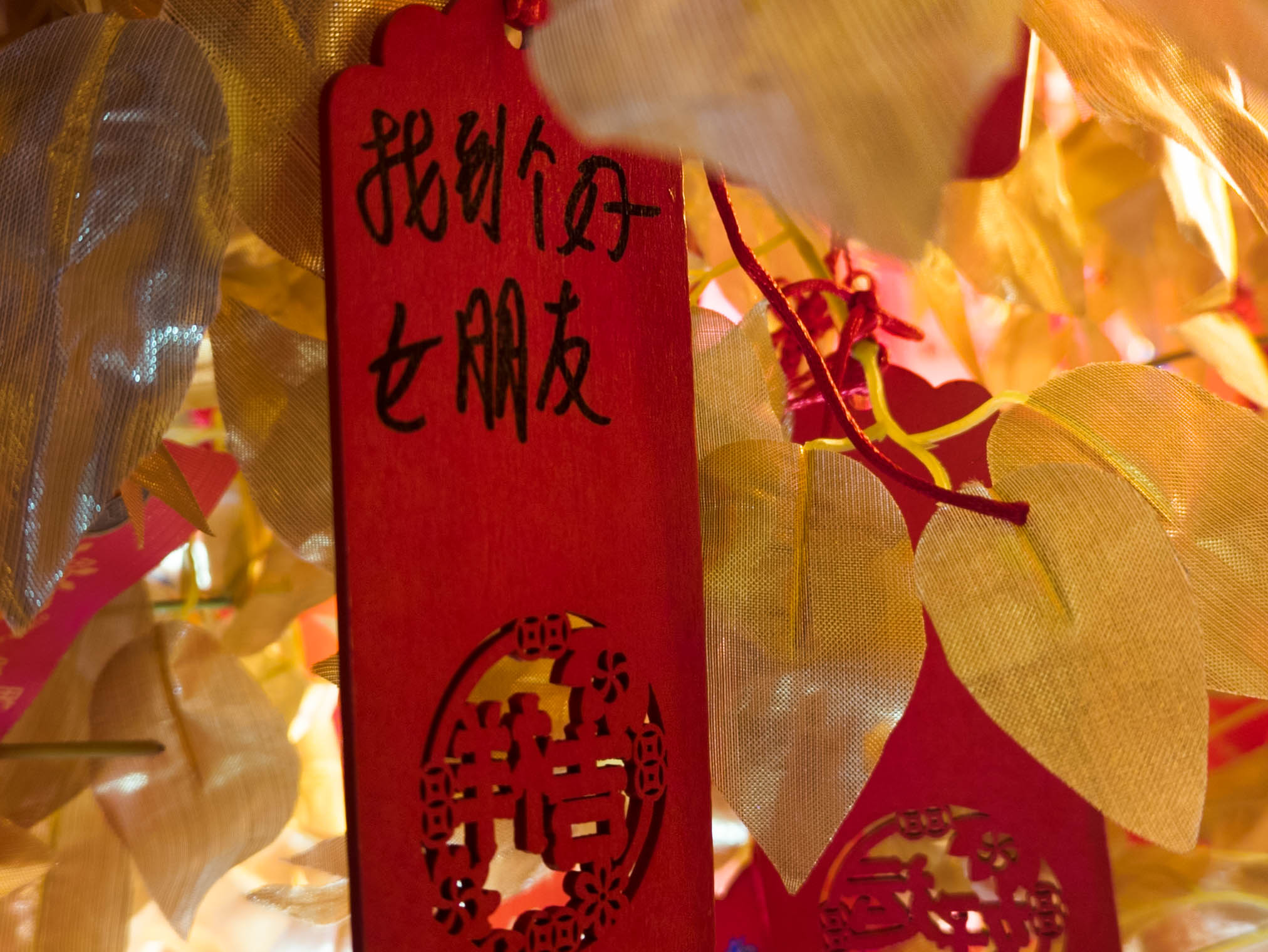 New Year wishes on a tree