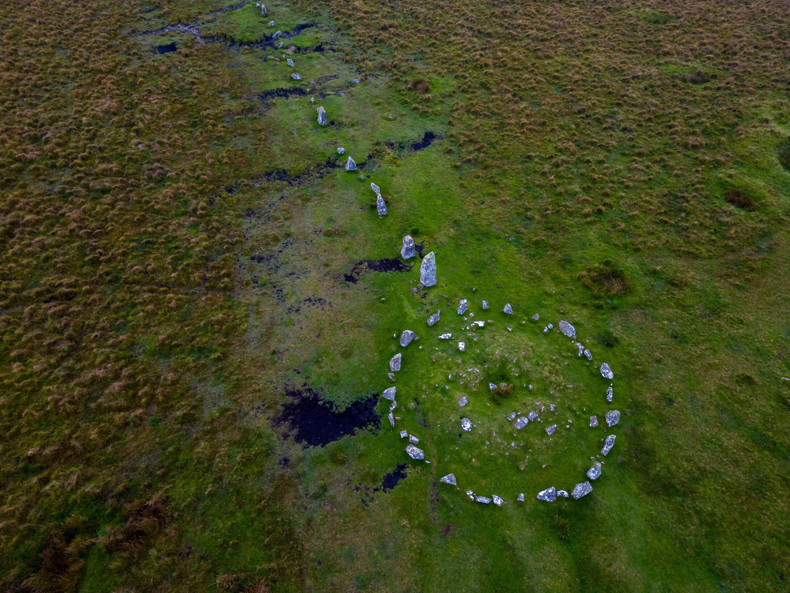 Down Tor Stone Circle & Row