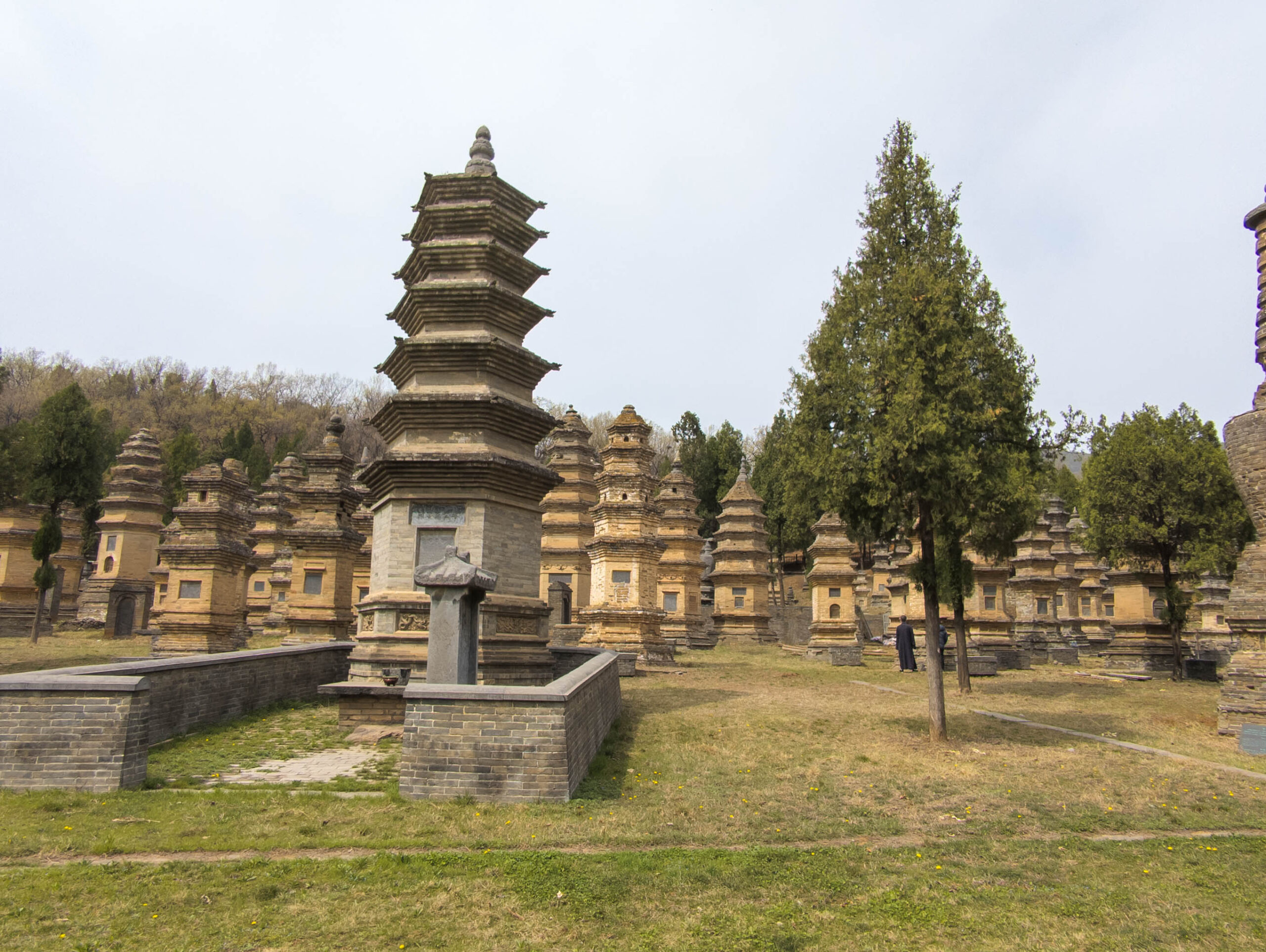 Pagoda Forest