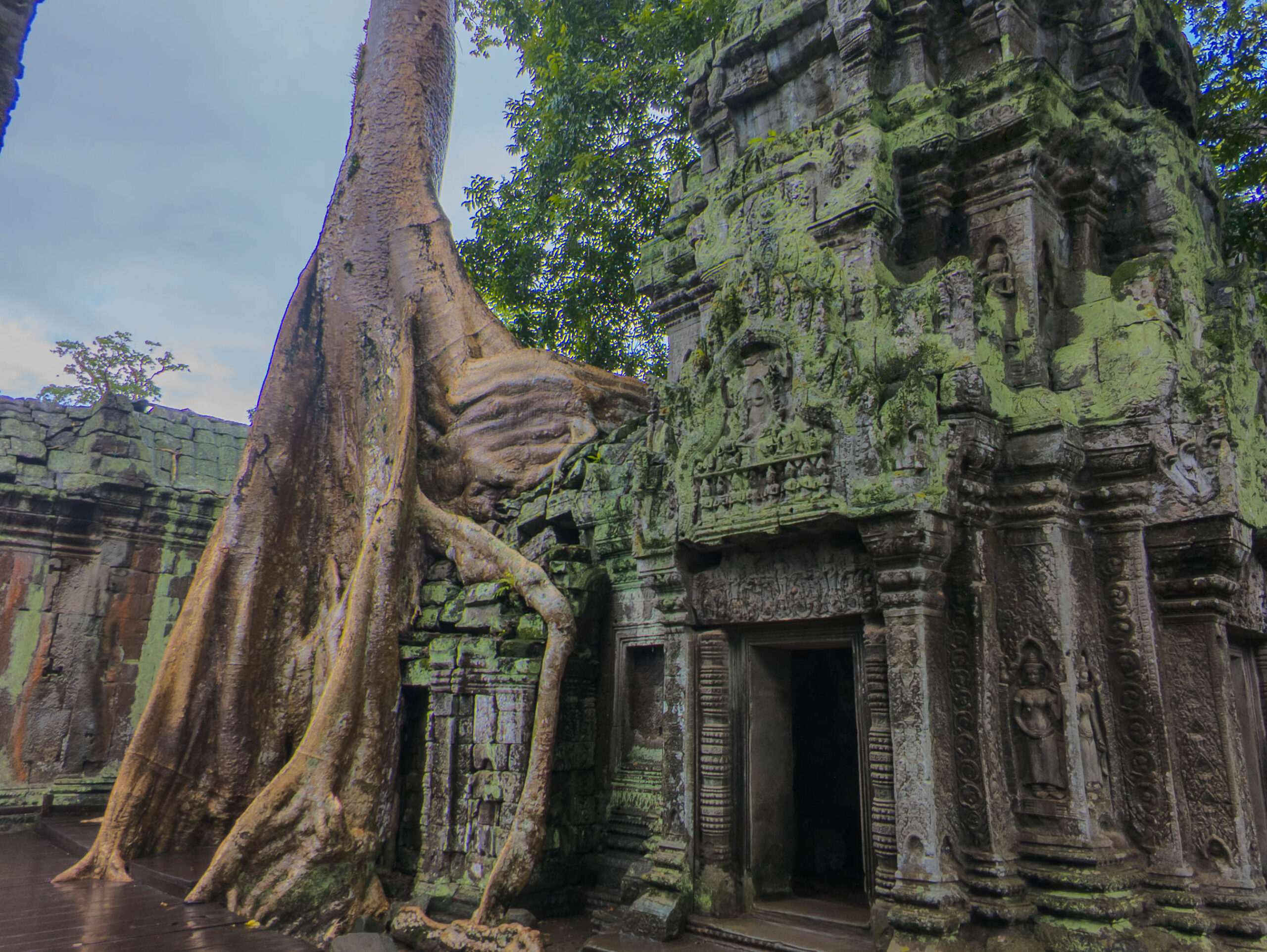 Ta Prohm