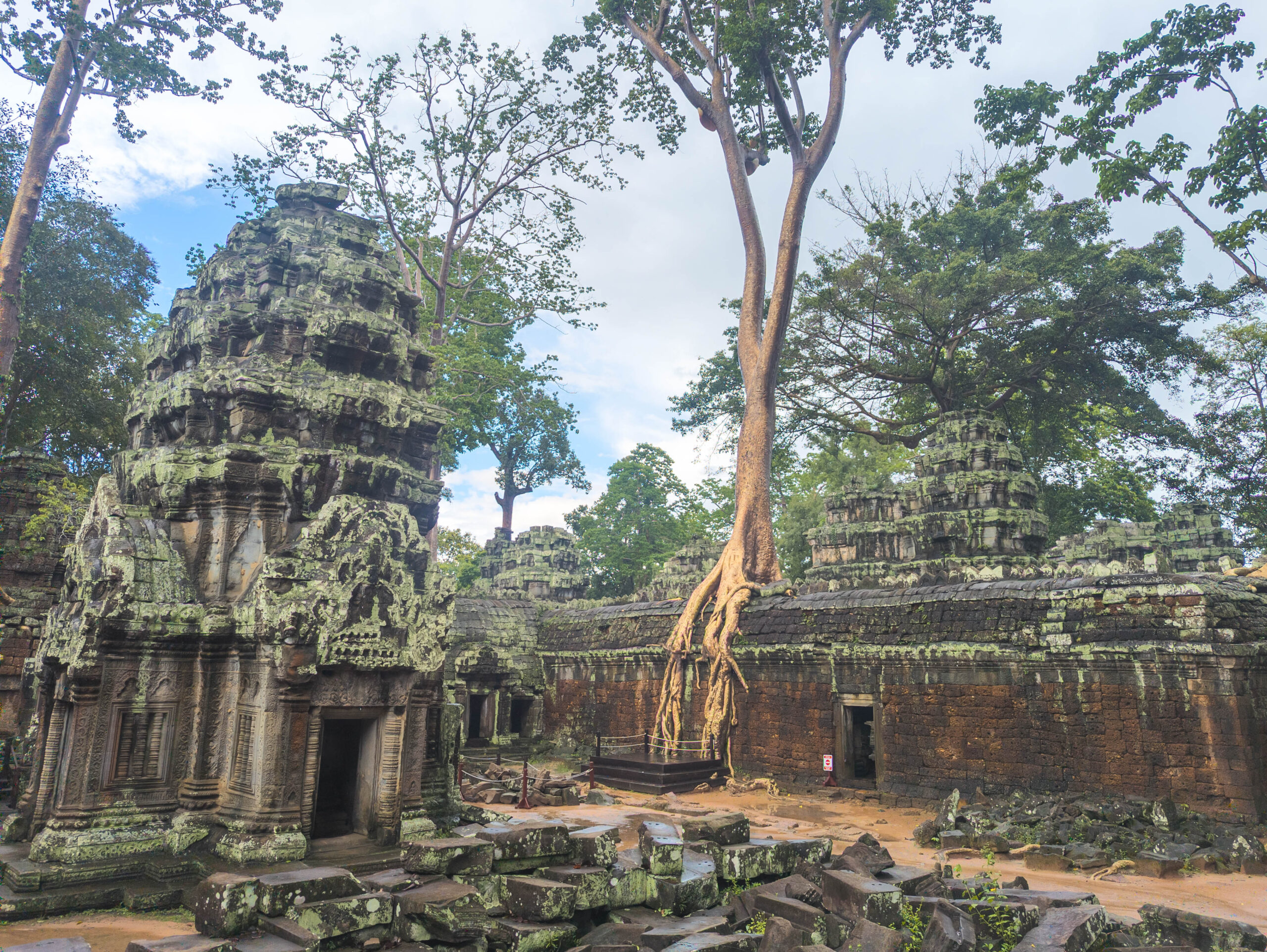 Ta Prohm