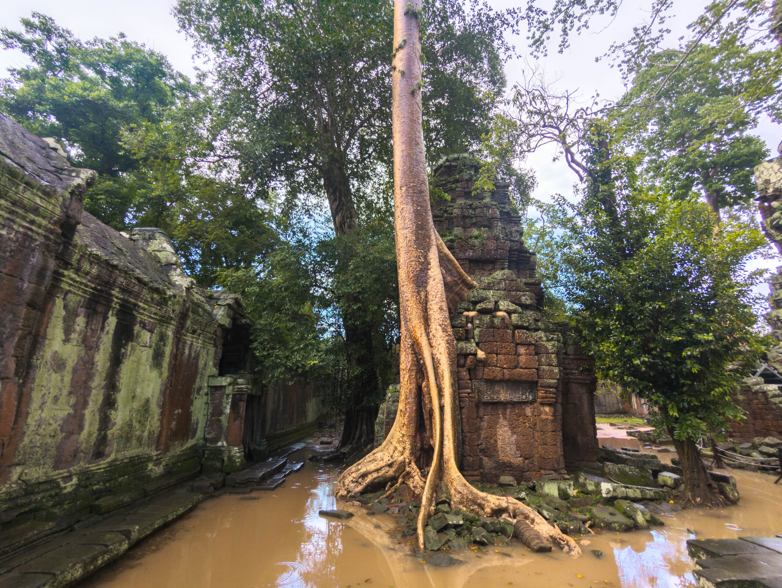 Ta Prohm