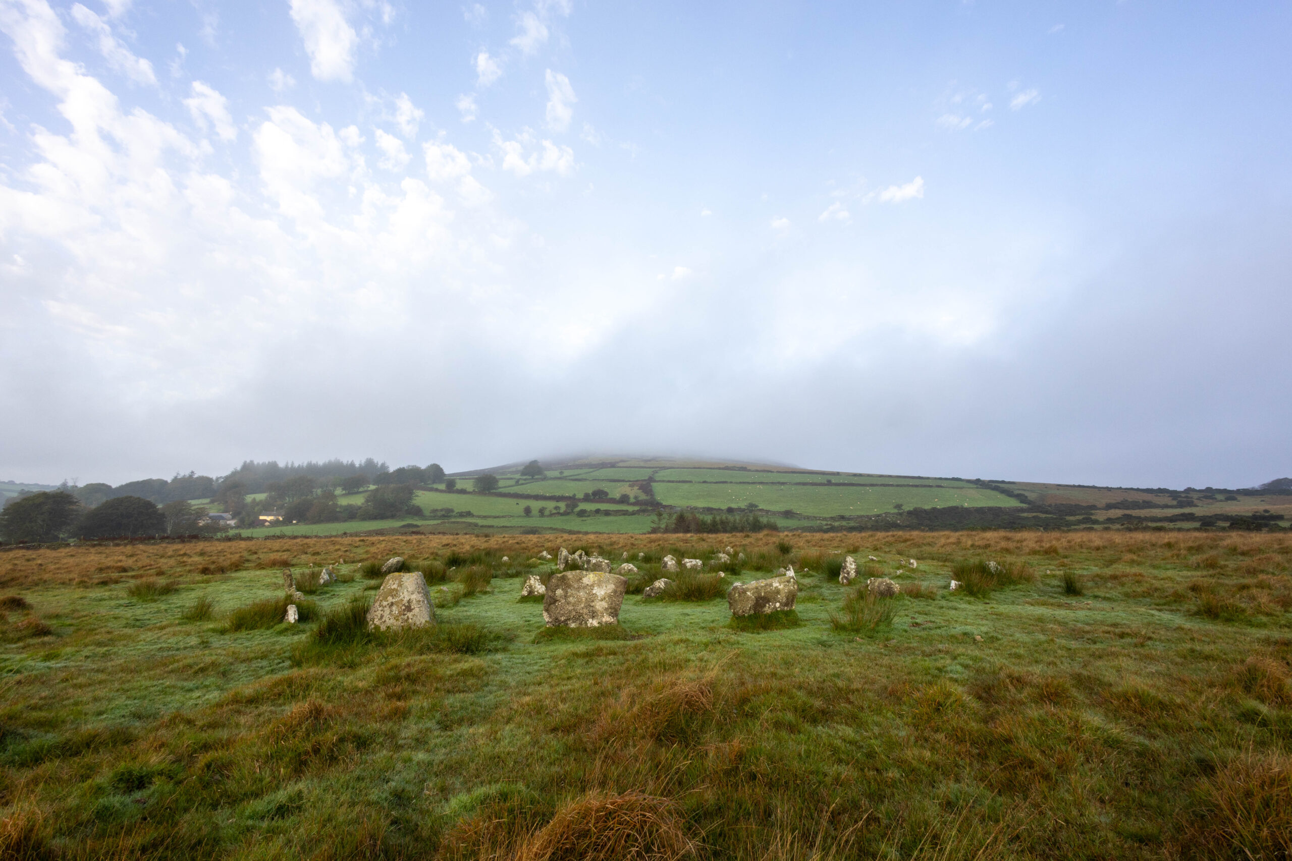 Yellowmead Stone Circles