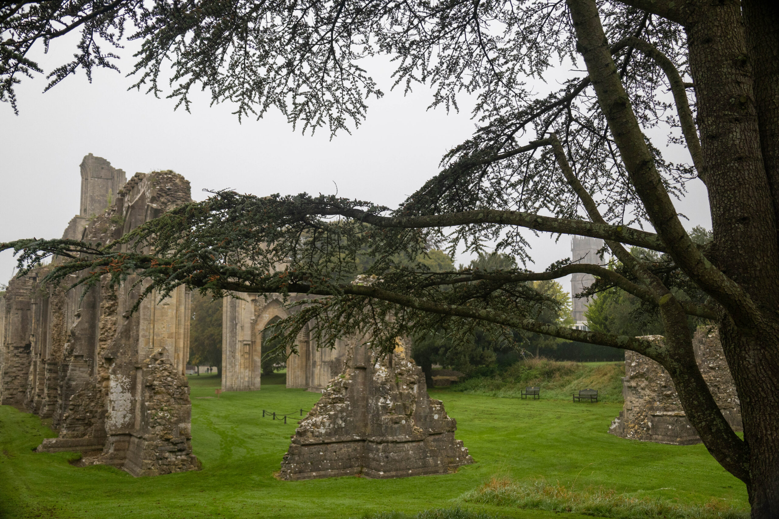 Glastonbury Abbey