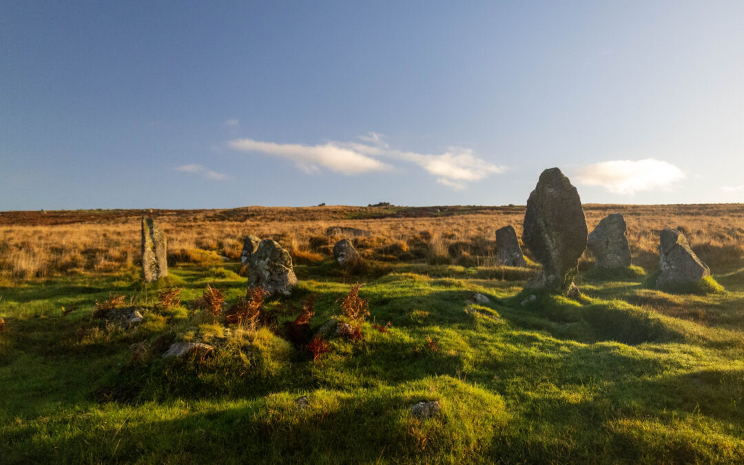 Trowlesworthy Stone Circles