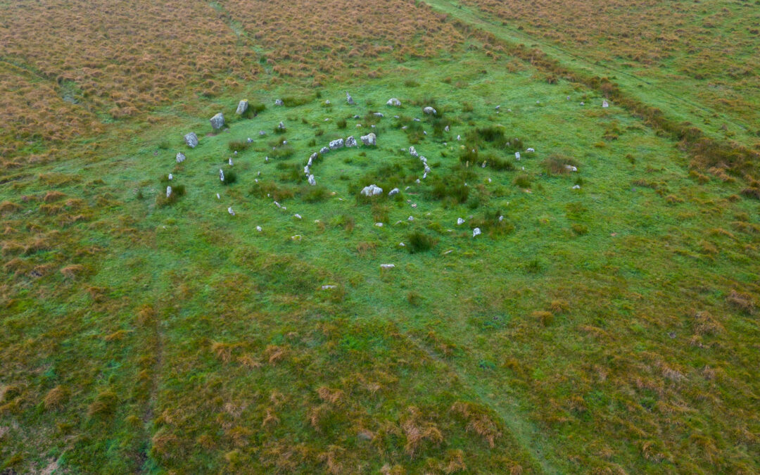 Yellowmead Stone Circles