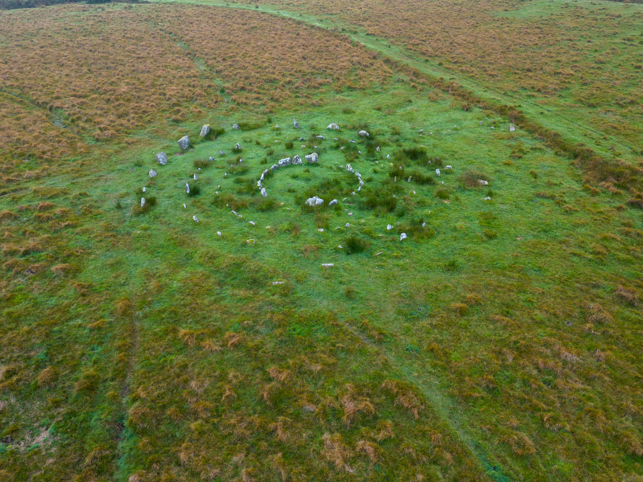 Yellowmead Stone Circle