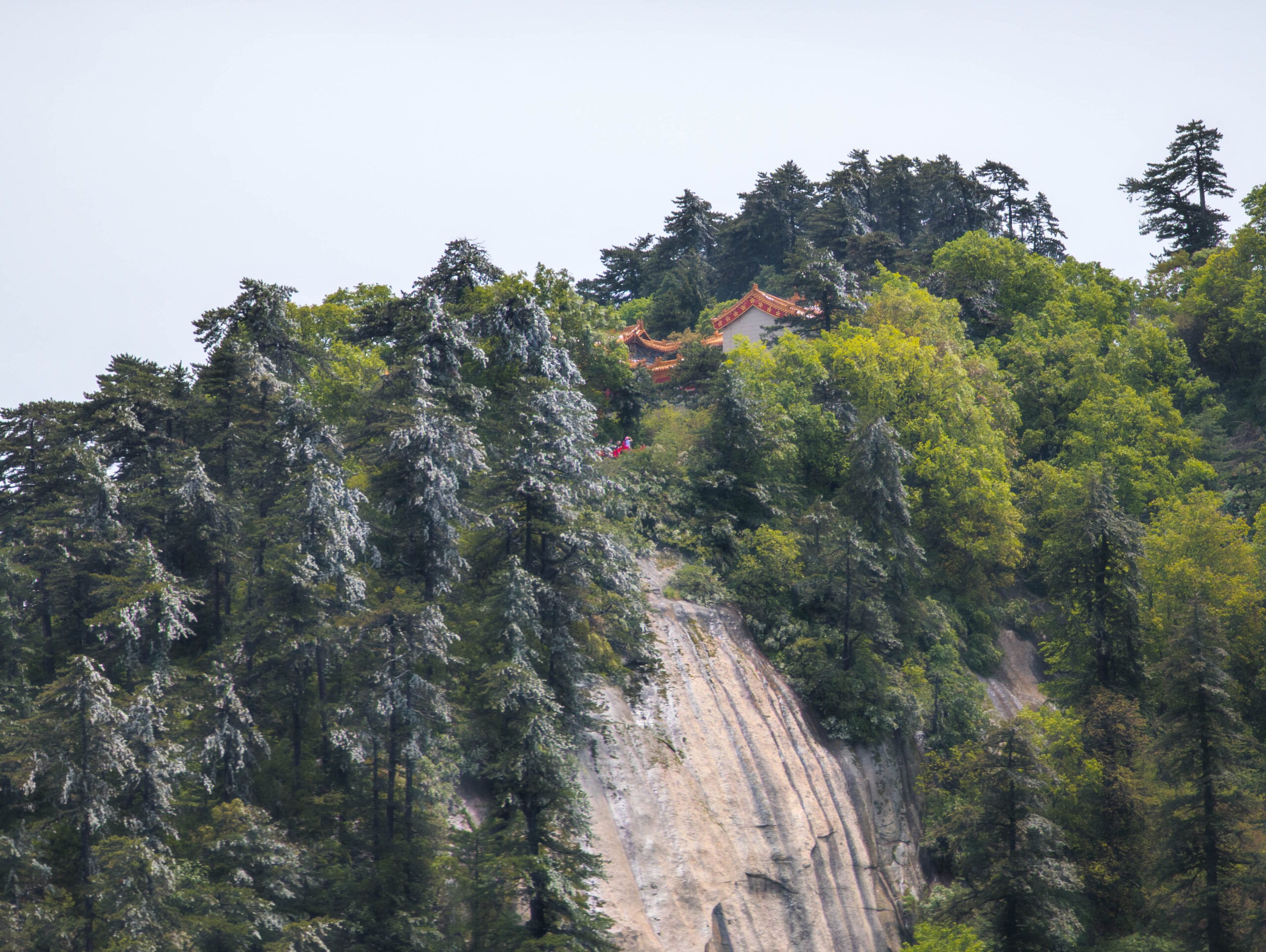 Taoist Shrine