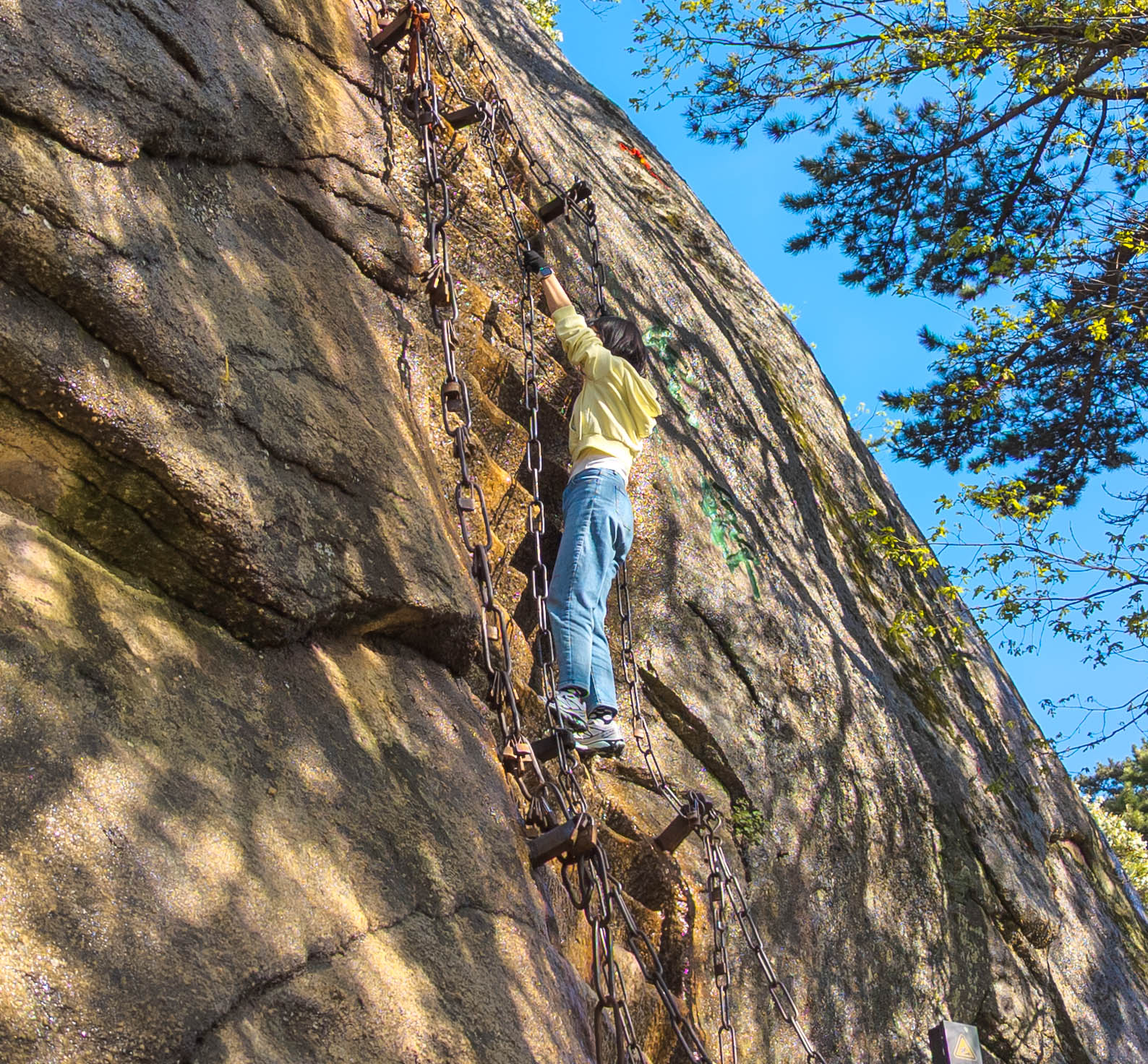 Climbing the ladder