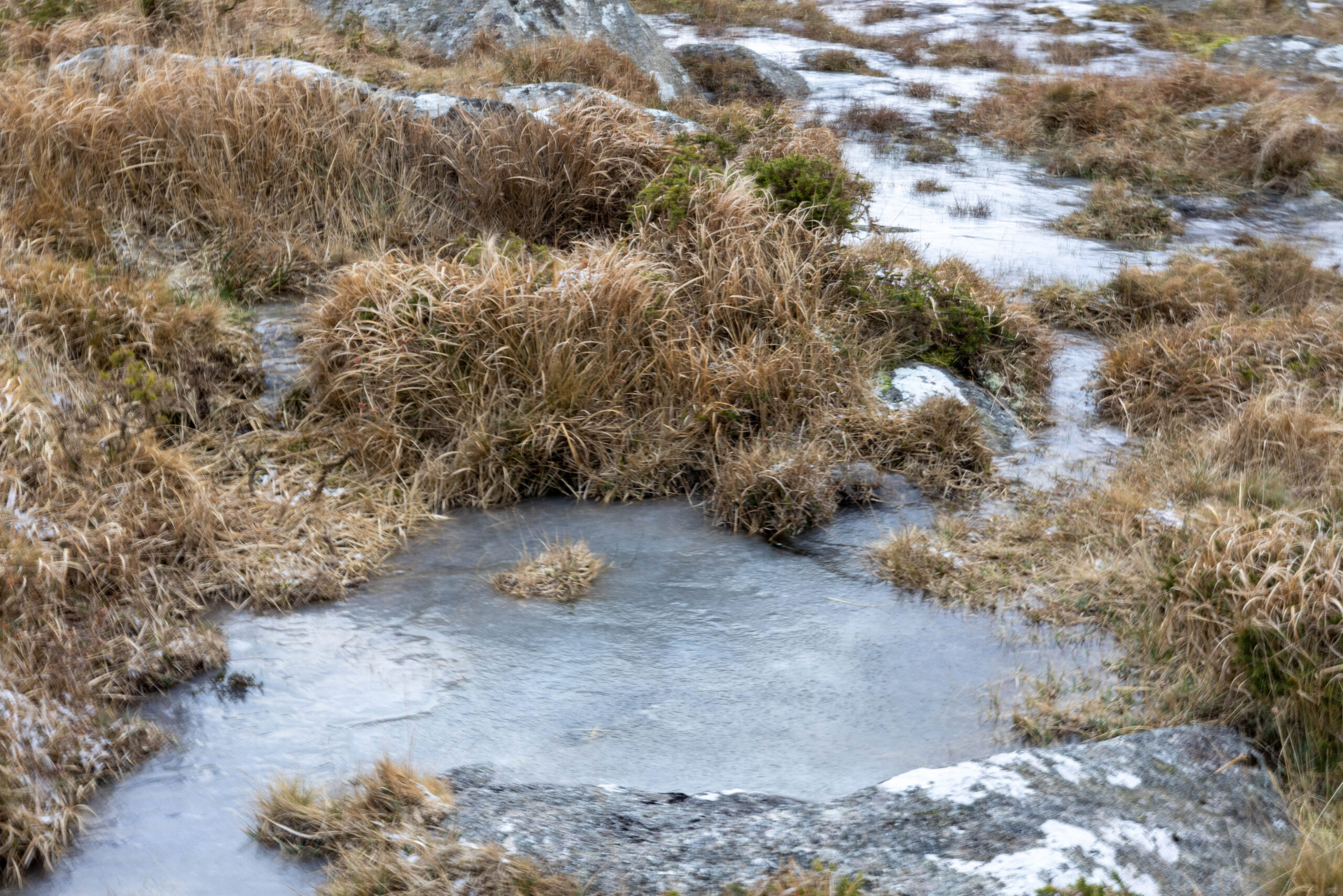 Frozen Water