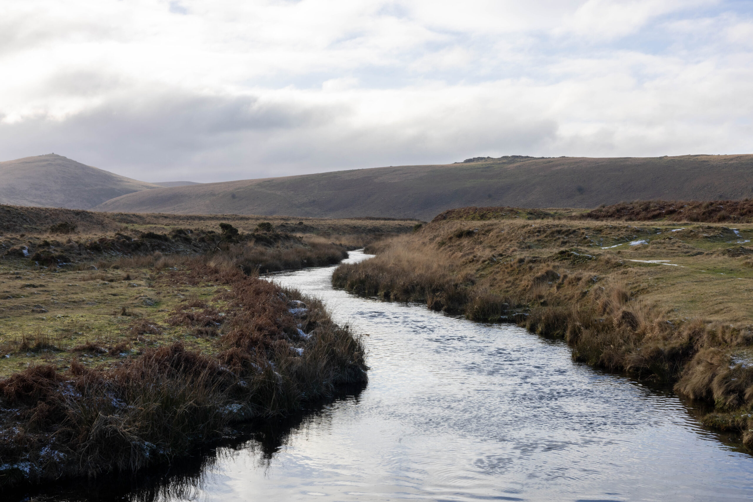 River Taw